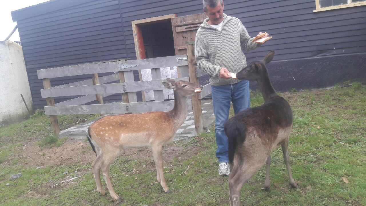 Experience a unique deer farm tour and delicious venison BBQ lunch at the Manakau’s Deer Story Museum.